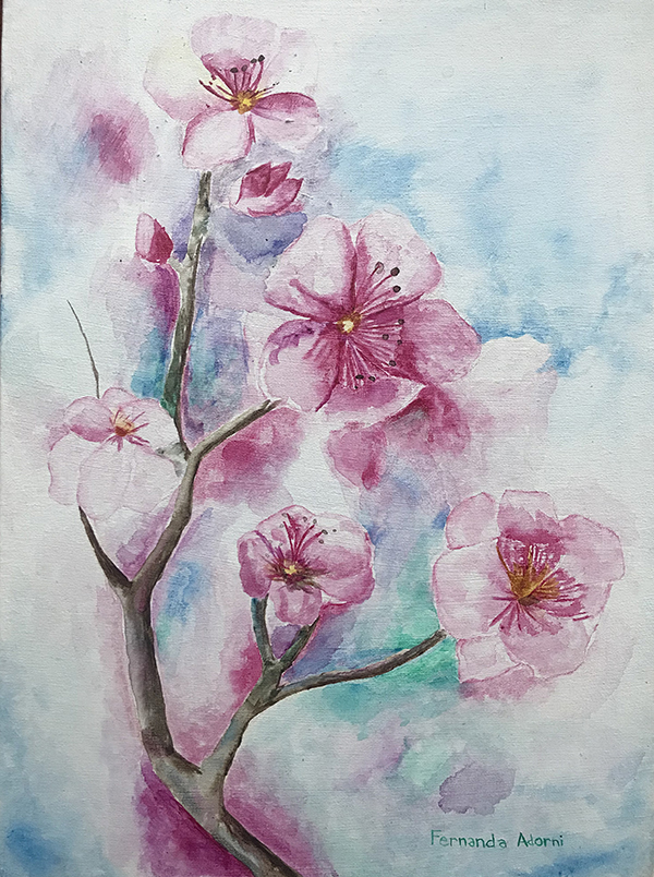 Cerejeira - 30 x 40 - AST